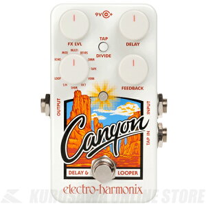 Electro-Harmonix Canyon Delay & Loopers sGtFN^[/fBC/[p[tyz