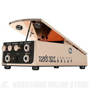 Ernie Ball AMBIENT DELAY [6184] �s�G�t�F�N�^�[/�f�B���C�t�y���������z