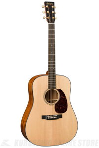 Martin Standard Special Editions DSTG (AR[XeBbNM^[)()