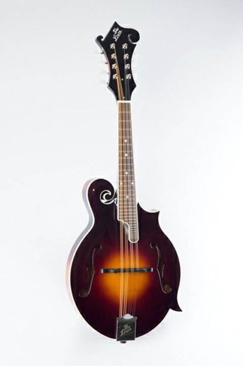 楽天市場】Loar ロア LM-520-VS 【ブルーグラスマンドリン】【送料無料  
