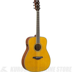 Yamaha FG-TA/VT(re[WeBg)(gXAR[XeBbNM^[)()