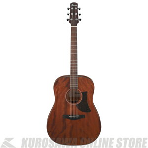 Ibanez AAD140-OPN yz y\V[hv[gIz