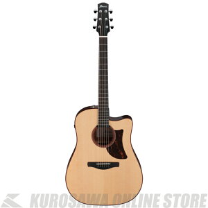 Ibanez AAD300CE-LGS yX|bgYiz yz y\V[hv[gIz