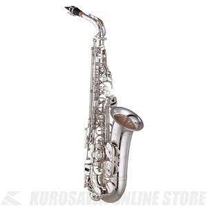 YAMAHA YAS-875EXSyAgTbNXzyCustom875EXzy⃁bLzyZbgtzyʐYzyz