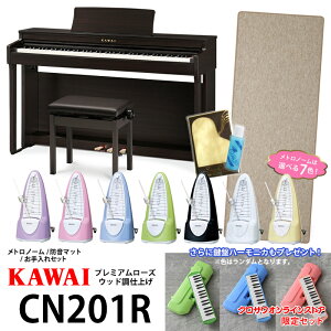 KAWAI CN201Rsv~A[YEbhdグtyNTICXgAZbgz