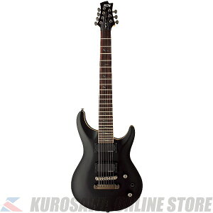 FUJIGEN(FGN) Expert EEL-DE-7 MBK (Matte Black) 【アクセサリーセットプレゼント】(ご予約受付中)