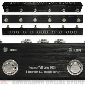 ONE CONTROL Iguana Tail Loop MKIII - 5 loop with T.O. and BJF Buffer - (\t)