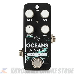 Electro-Harmonix PICO OCEANS 3-VERB [Multi-Function Reverb](\t)
