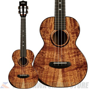 KALA CONTOUR ALL SOLID GLOSS ACACIA TENOR [KA-CT-SA-TG] (\t)