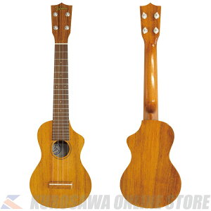 Famous FLS-5GC nCARA y\vmOlbNz(\t)