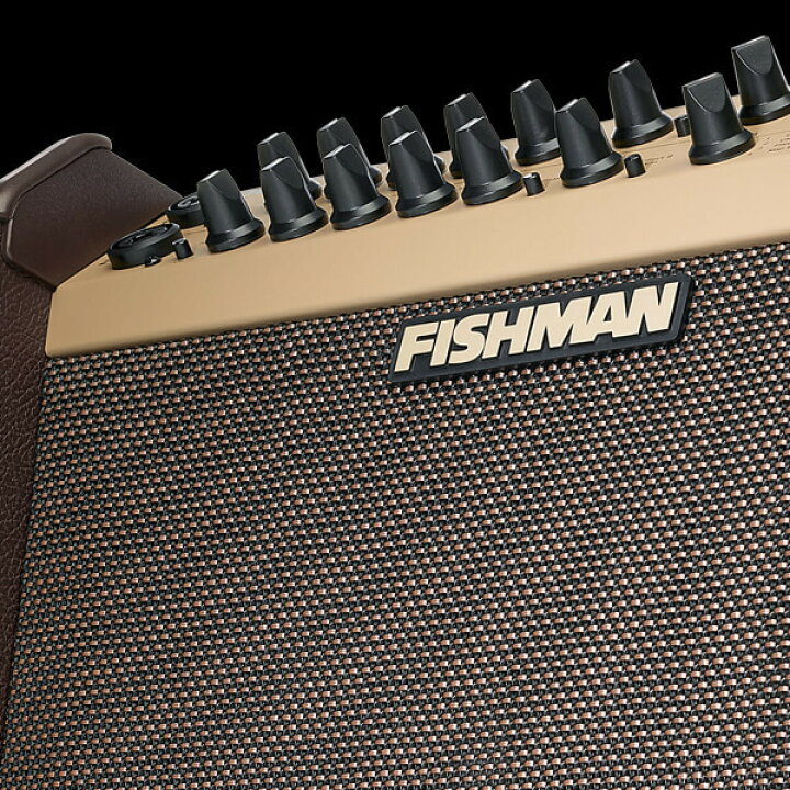 楽天市場】FISHMAN LOUDBOX ARTIST Bluetooth Amplifier [PRO-LBX-EX6 