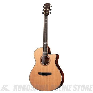 Morris SE-102 HAND MADE PREMIUM ()