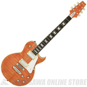 Aria Pro II PE-AE200 MP AE -Aria Evergreen- GNgbNM^[
