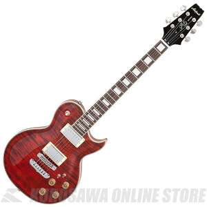 Aria Pro II PE-700 SR PE GNgbNM^[