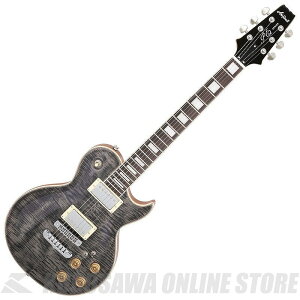 Aria Pro II PE-700 SBK PE GNgbNM^[