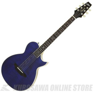 Aria Pro II APE-100 SBL APE GNgbNEAR[XeBbNM^[