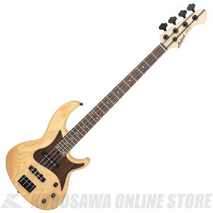 Aria Pro II RSB-700WP N RSB GNgbNx[X