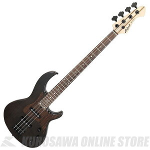 Aria Pro II RSB-700WP SBK RSB GNgbNx[X