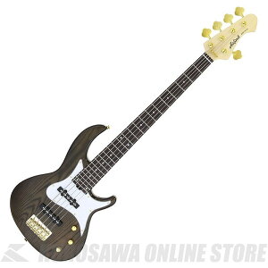Aria Pro II RSB-42AR/5 SBK RSB GNgbNx[X