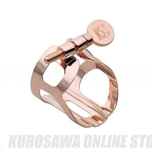 BG L10PGP Tradition gfBV A.Sax.pK`[ sNS[hbL