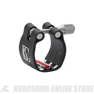 BG L4RS Revelation Silver F[VEV@[ Cl.pK`[