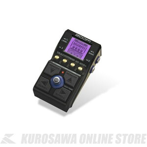 ZOOM MS-80IR+ y}`GtFN^[z