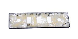 Hofner Guitar/Bass Control Panel Plate HA2B-P (���\���t��)