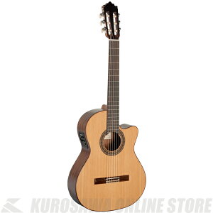 Paco Castillo pREJXeB[W 222CEyzytRM^[zs\P[uv[gItyONLINE STOREz