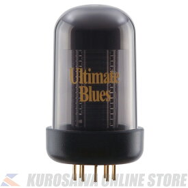 Roland BC TC-UB Blues Cube Ultimate Blues Tone Capsule (ご予約受付中)【送料無料】