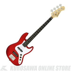 Legend LJB-MINI CA ~jx[X