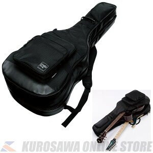 Ibanez IGAB2540 -Black- for Electric &Acoustic Guitaryz(\t)