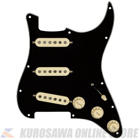 Fender Pre-Wired Strat Pickguard, Custom Shop Custom '69 SSS, Black 11 Hole PG (ご予約受付中)