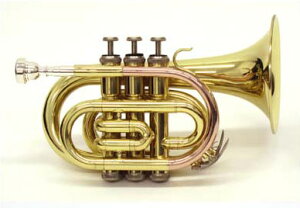 J.Michael JE}CP |Pbggybg -NEW- TR-350PL(bJ[)yz