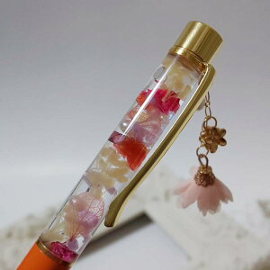 `[tn[oE{[yiO-1jMtg{bNX͓XʔłB