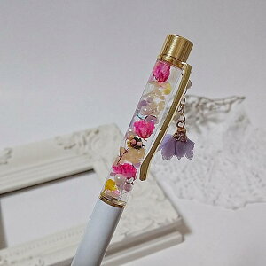 i n[oE{[؃ `[t iW-5jn[oE {[y { v[g Mtg   n[oEy  y   킢  a Ԃ 