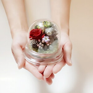 ふくろう 花の人気商品 通販 価格比較 価格 Com