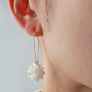 ~jtt[t[vsAX/ό`/Eh/؂₩//ig/LC/Vv/I/̊/IP[W/Ǝ/w//fUC/S[h/p[