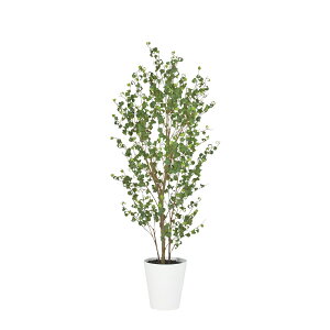 tFCNO[ ϗtA tFCN lHϗtA ^ G} lHxW~obN FST 120cm  A A G} CTG} CeA fBXvC