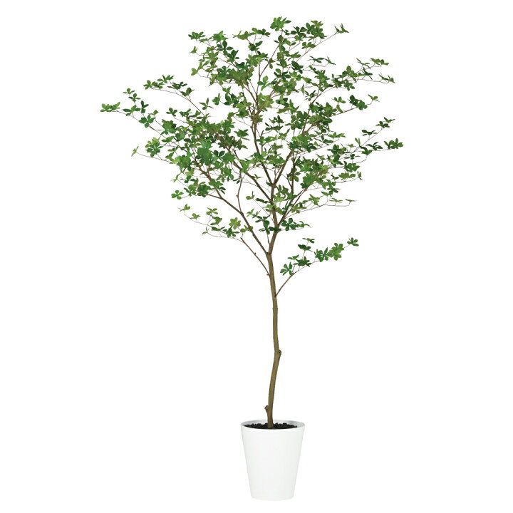 楽天市場】フェイクグリーン 観葉植物 フェイク 人工観葉植物 大型 