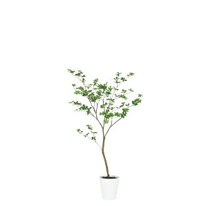 tFCNO[ ϗtA tFCN lHϗtA ^ G} lHhE_ccW FST 130cm  A A G} CTG} CeA fBXvC