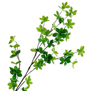 hE_ccW  tFCNO[ } CeA ԍ A[eBtBVt[ lHϗtA 1{ CeA G} CTG} L R AW A[gt[ fBXvC 