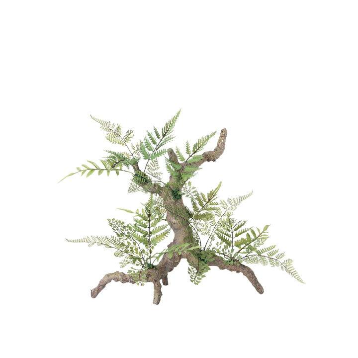 楽天市場】フェイクグリーン 人工観葉植物 ミックスファン スタンプ 