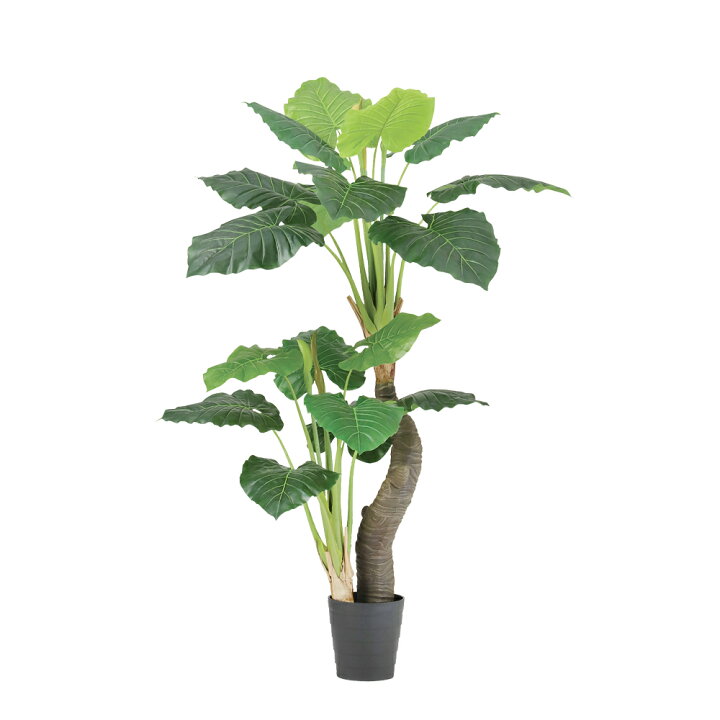 楽天市場】フェイクグリーン 観葉植物 フェイク 人工観葉植物 大型 