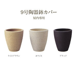 9픫Jo[@PF-2 ϗtA  tFCNO[  |bg