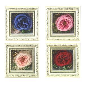 y  Mtg vU[uht[zfRt[iLxbW[YjǊ|AW  zCgf[ v[g ̓ [whd][md][kd][rcp]