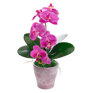 Ӓ ~j  ~fBӒ  j zCg CG[ sN x_[ 񂹐A A  Mtg A[eBtBVt[ CTG} L ̓ hV̓ / RɑIׂ 