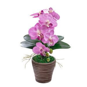 _10%OFFN[|^ Ӓ ~j  ~fBӒ  j zCg CG[ sN x_[ 񂹐A A  Mtg A[eBtBVt[ CTG} L ̓ h