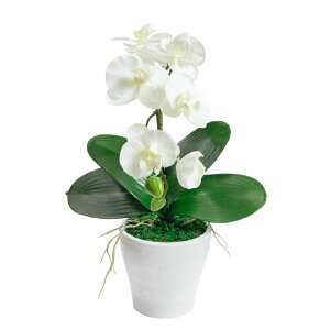 _10%OFFN[|^ Ӓ ~j  ~fBӒ  j zCg CG[ sN x_[ 񂹐A A  Mtg A[eBtBVt[ CTG} L ̓ h