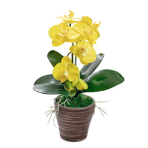 _10%OFFN[|^ Ӓ ~j  ~fBӒ  j zCg CG[ sN x_[ 񂹐A A  Mtg A[eBtBVt[ CTG} L ̓ h