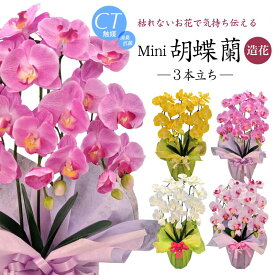 【母の日 花 胡蝶蘭 造花 お祝い】ミニ胡蝶蘭 3本立 Mini CT触媒 光触媒【ギフト 誕生日 プレゼント 開店 開院祝い お見舞い アートフラワー】[md]【あす楽】[kd]